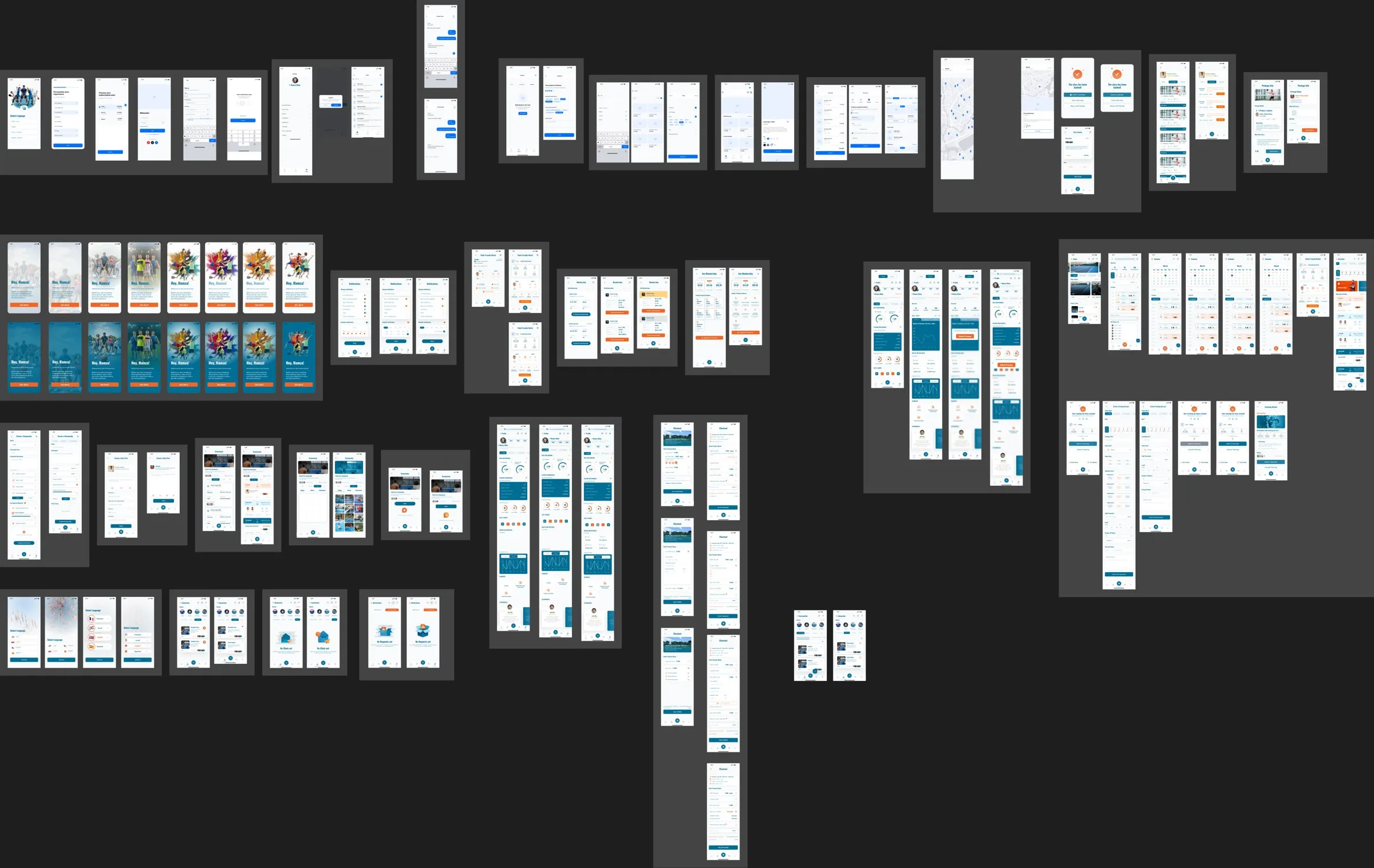 Overview of the Ace mobile app design file: hundreds of screens arranged by flow
