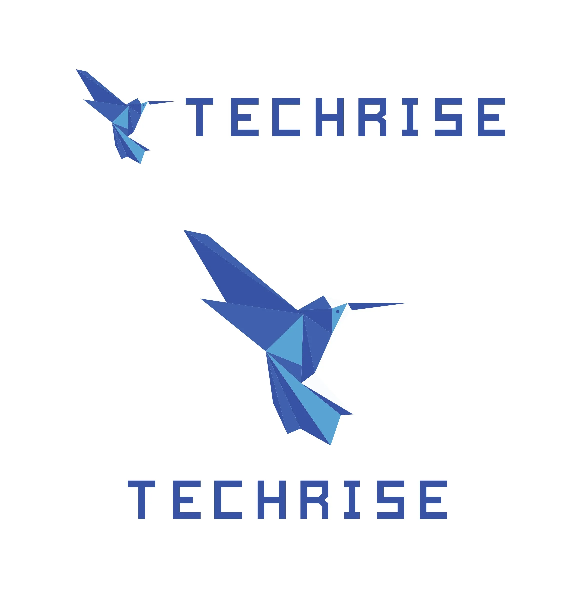 Techrise logo, blue origami hummingbird