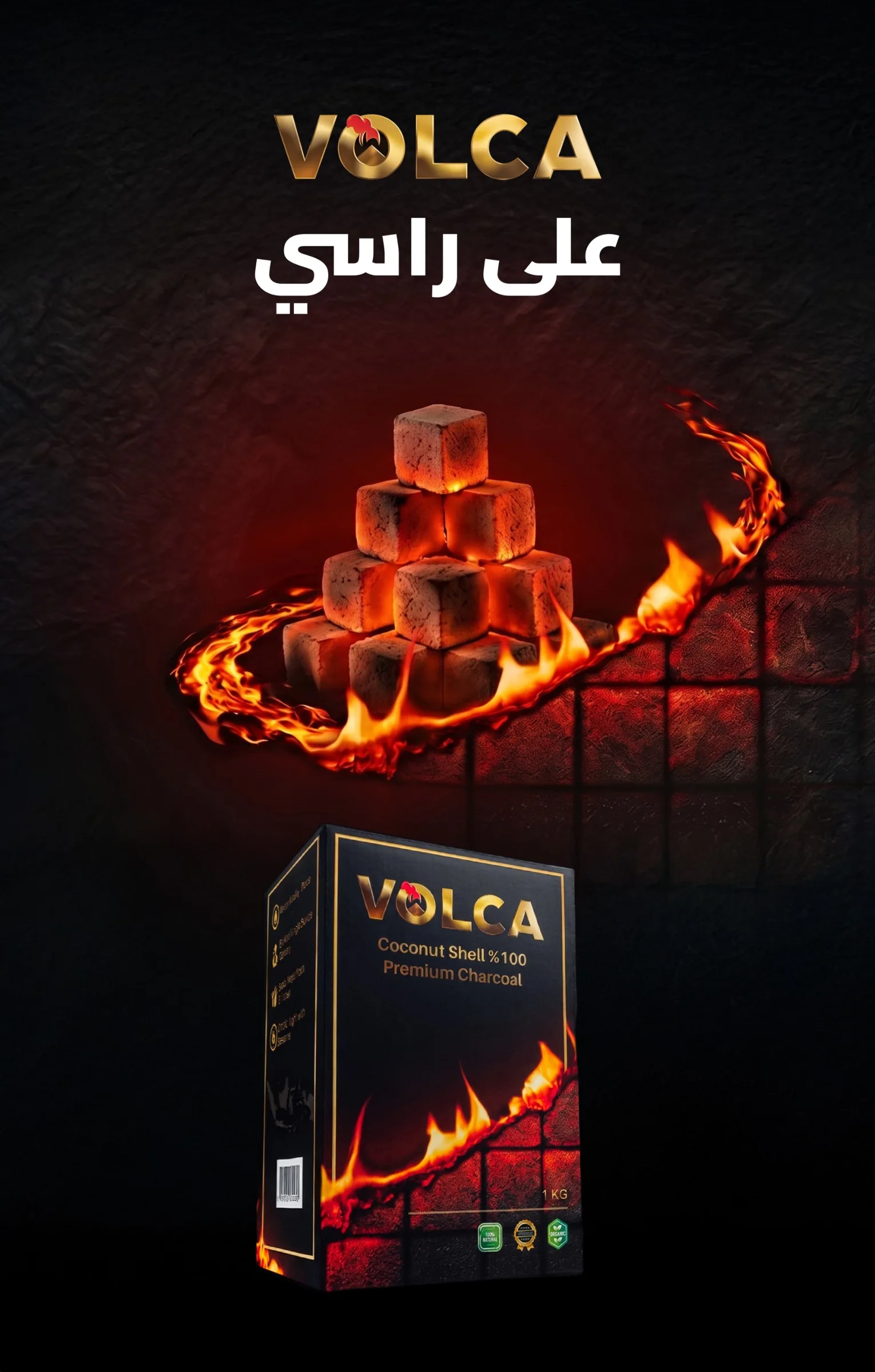 Volca portrait billboard 255×400